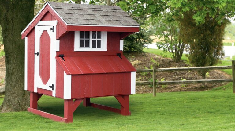 3'x4' Quaker chicken house