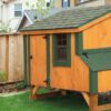 3x5 lean-to chicken coop