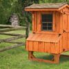 4x4 Quaker chicken coop