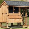 4x8 Chicken coop