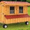 4x8 Quaker Chicken coop